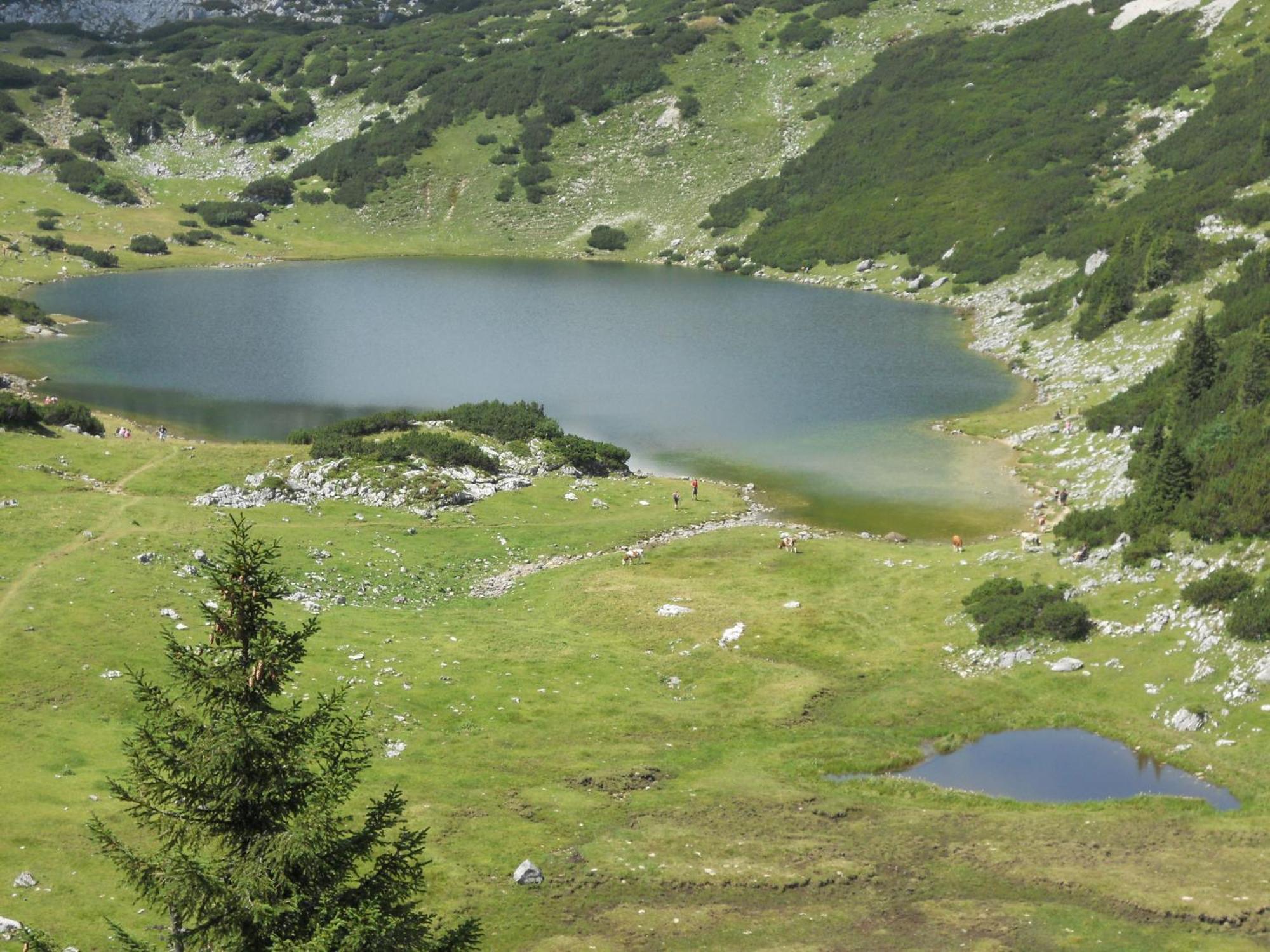 Landgasthof Pfarrwirt 호텔 티어제 외부 사진